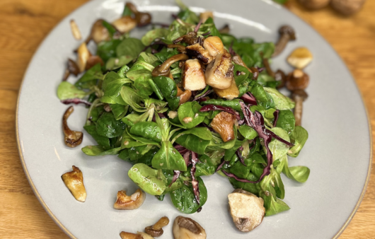 Wintersalat mit Waldpilze