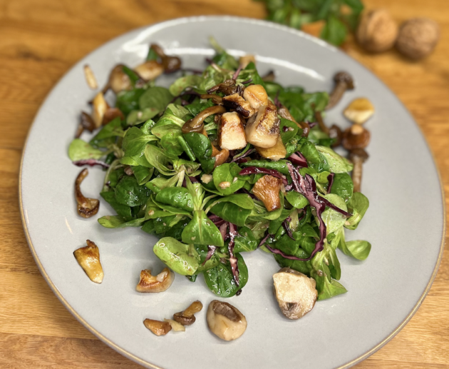 Wintersalat mit Waldpilze