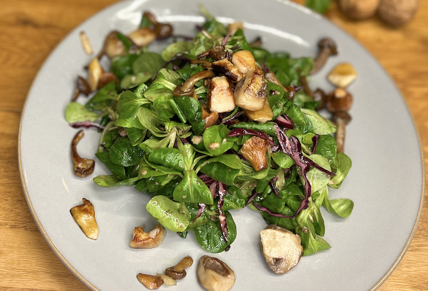 Wintersalat mit Waldpilze